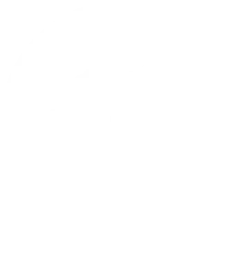 Made In Romania