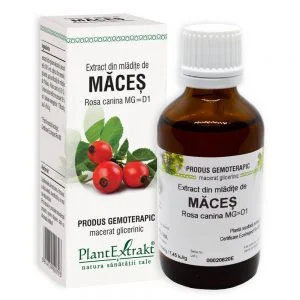 Extract MACES - PlantExtrakt