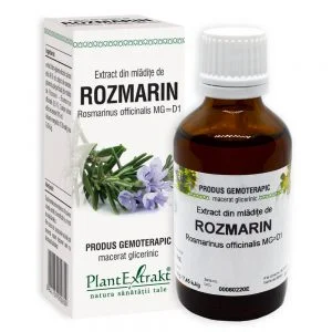 Extract ROZMARIN - PlantExtrakt