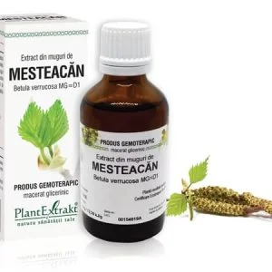 Extract din muguri de Mesteacăn