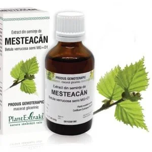 Extract din seminţe de Mesteacăn