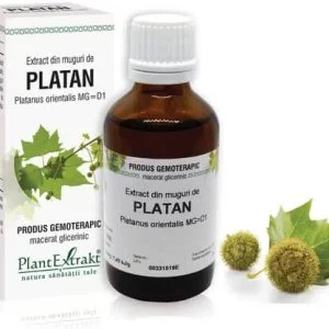 Extract din muguri de Platan