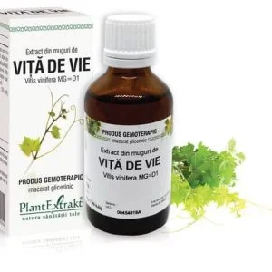 Extract din muguri de Viță de vie