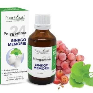 Polygemma 24 - Ginkgo Memorie