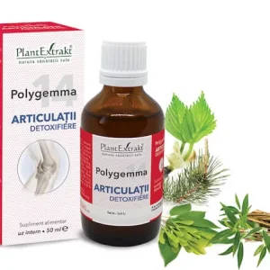 Polygemma 14 Articulaţii detoxifiere